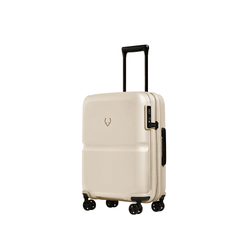 Image showing the Single Stripe Cabin Suitcase product.