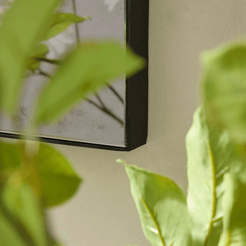 Image showing the Panelled Antique Glass Mirror, Black product.