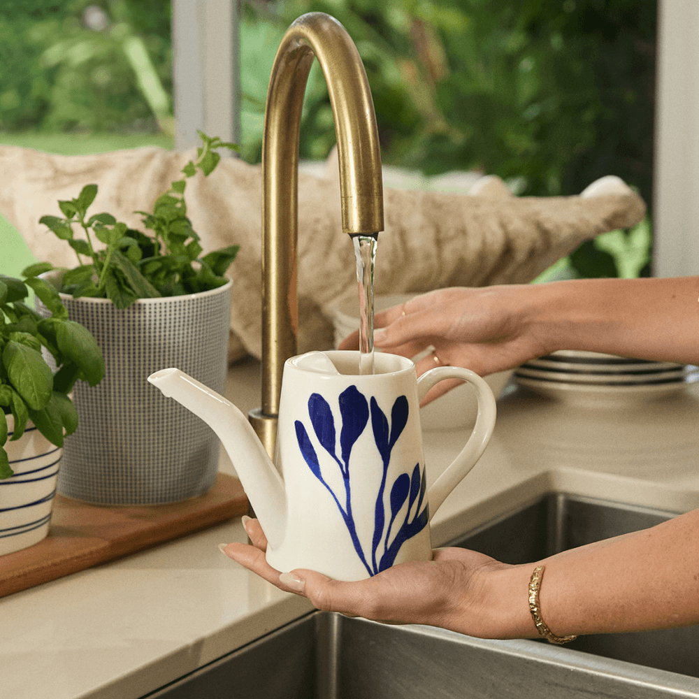 Pacific Watering Can, Blue