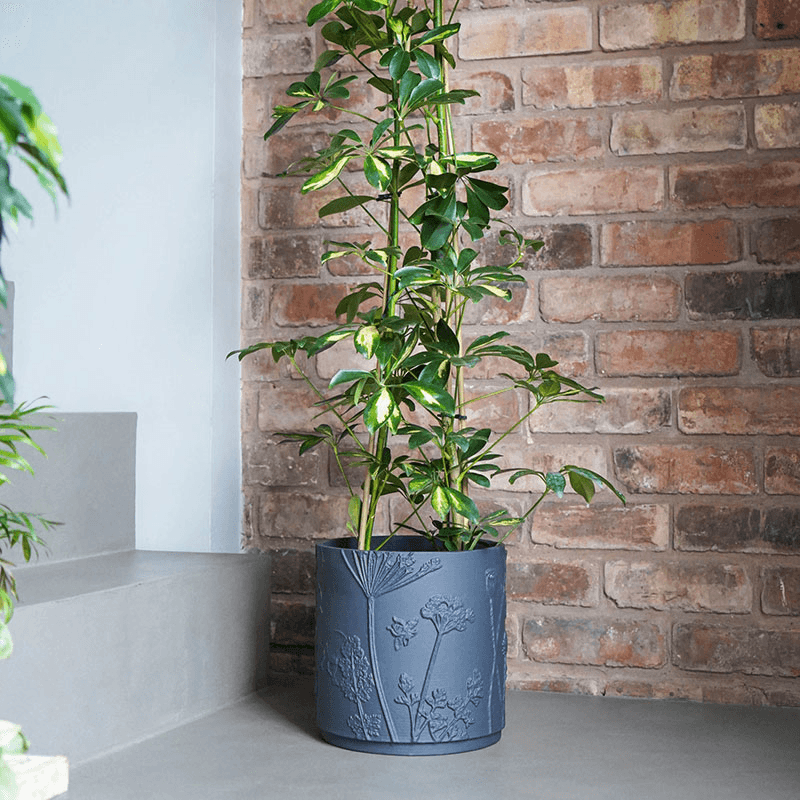 Kew Eclectic Orangery Stoneware Meadow Planter
