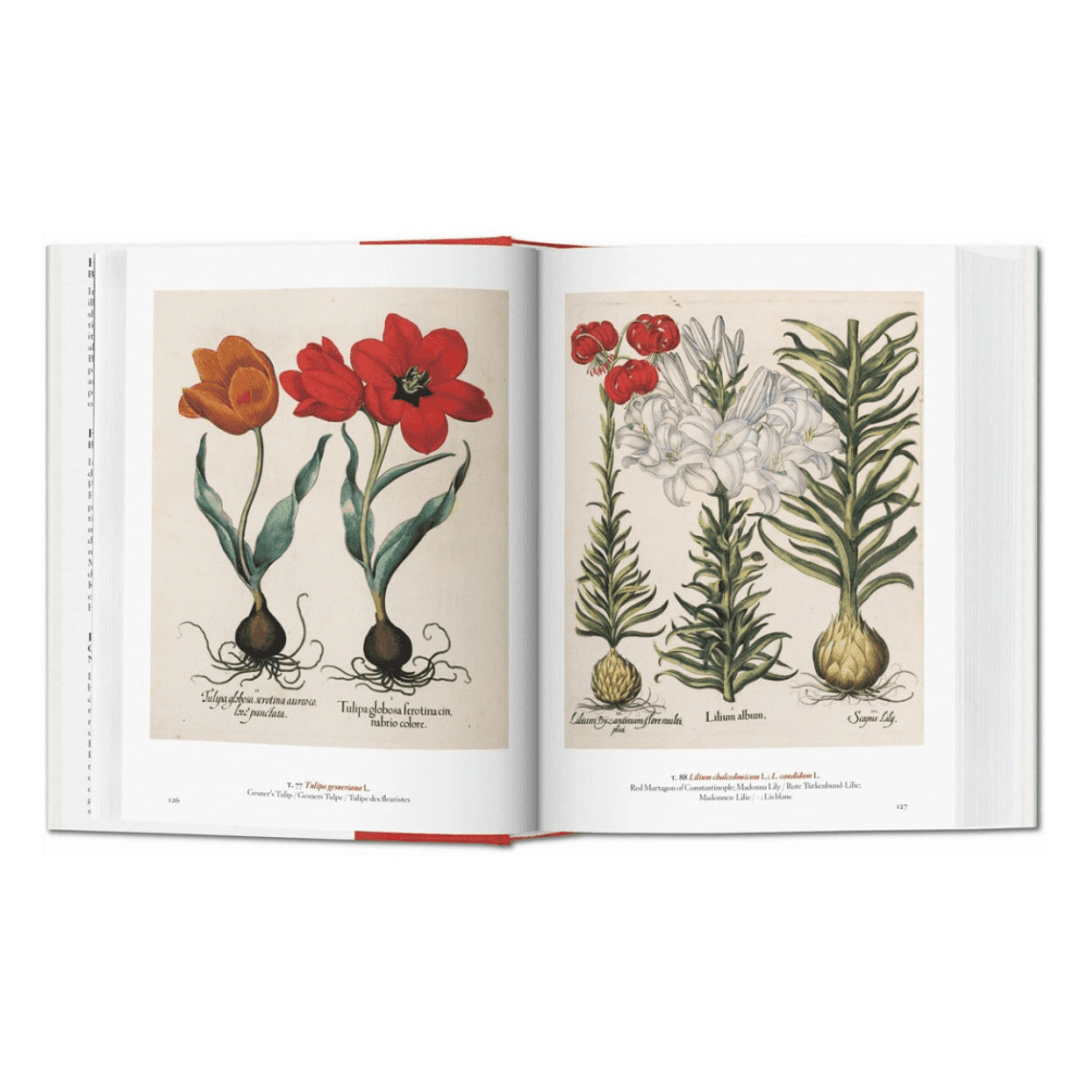 A Garden Eden: Masterpieces of Botanical Illustration, 45th Ed