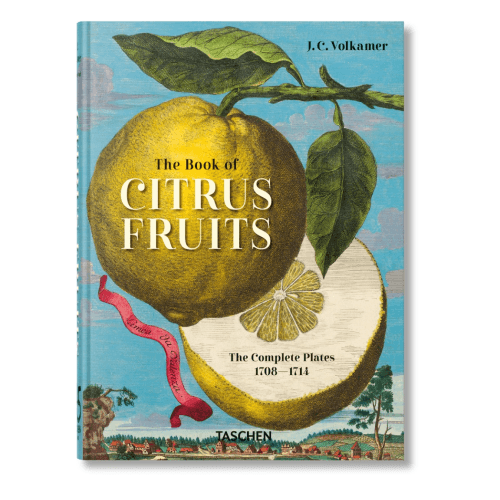 Image showing the Volkamer: The Book of Citrus Fruits, 45th Ed product.