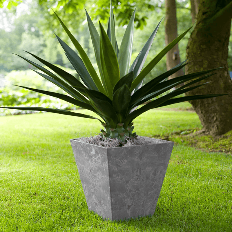 Ella Pot