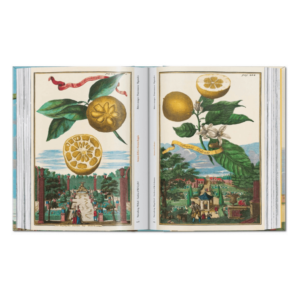 Volkamer: The Book of Citrus Fruits, 45th Ed