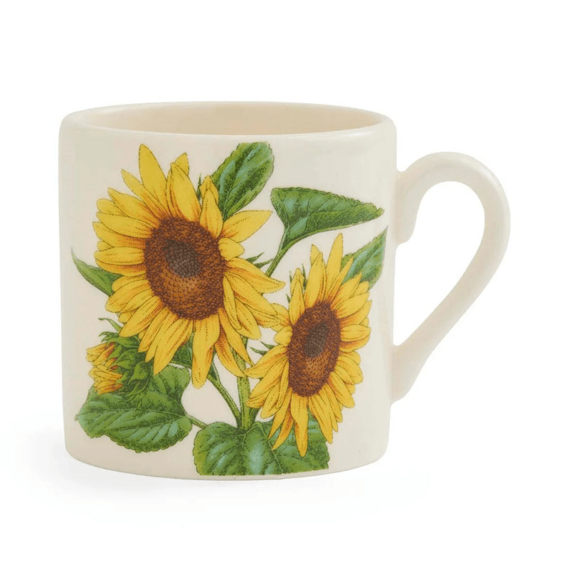 Botanic Garden Bloom Set of 6 Coffee Mugs, Multi