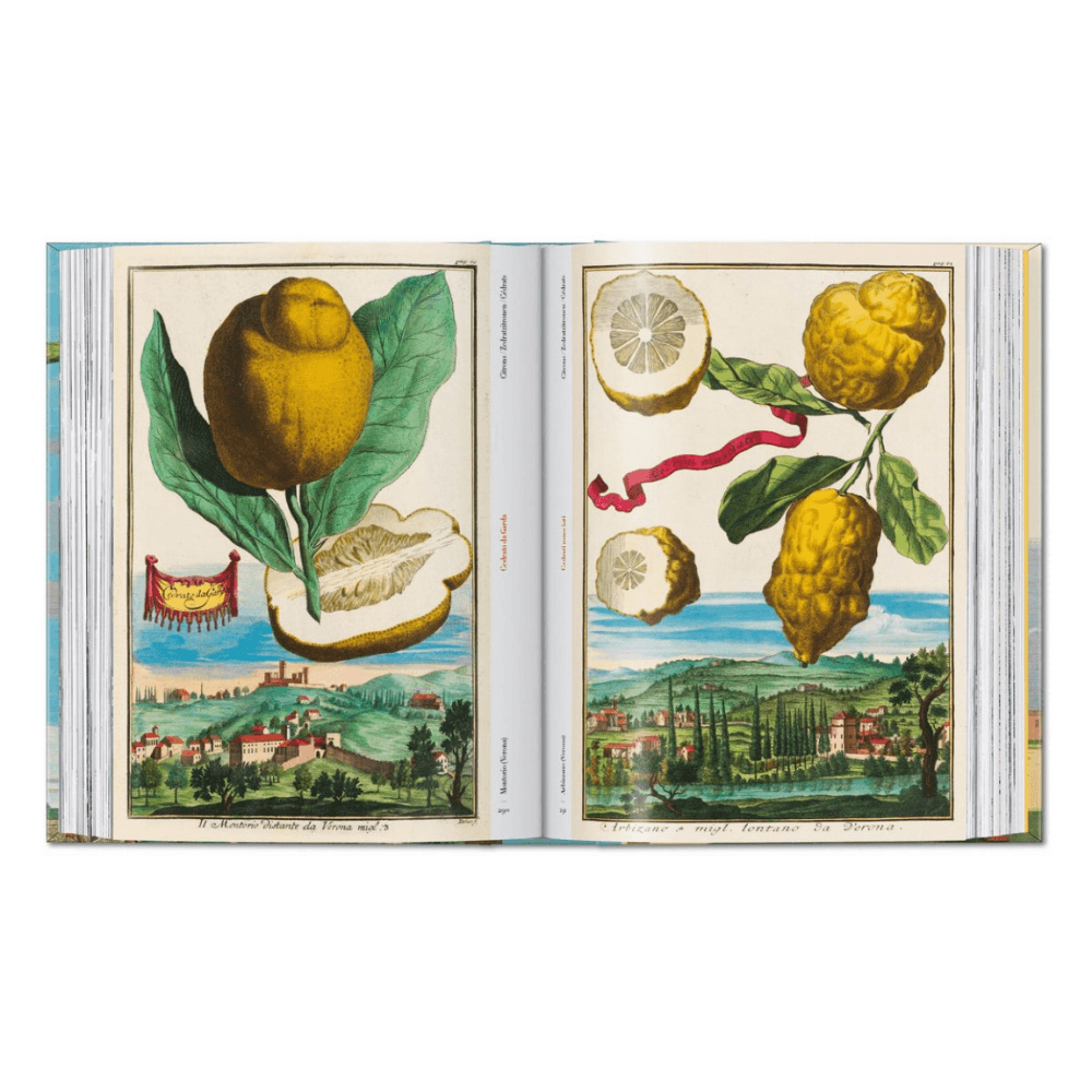 Volkamer: The Book of Citrus Fruits, 45th Ed