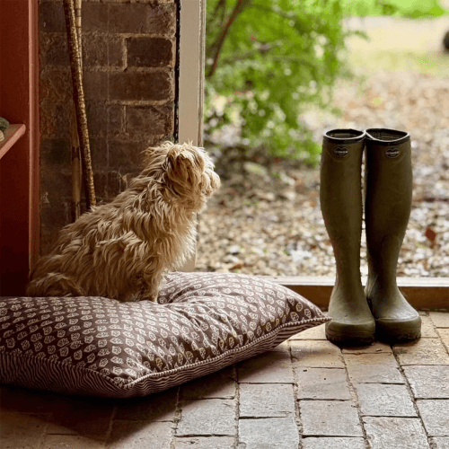Image showing the Ditsy Dog Bed product.
