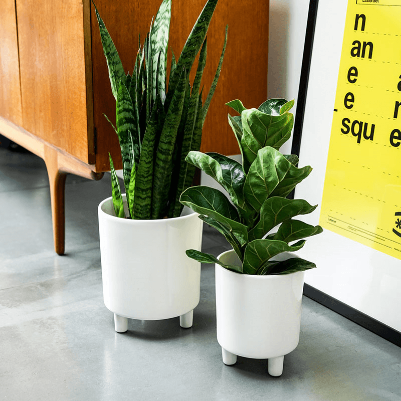 Pisa Planter