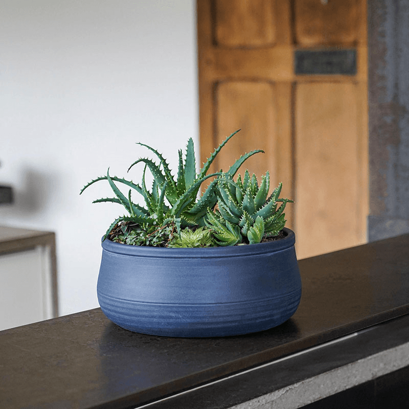 Kew Temperate House Handthrown Statement Bowl