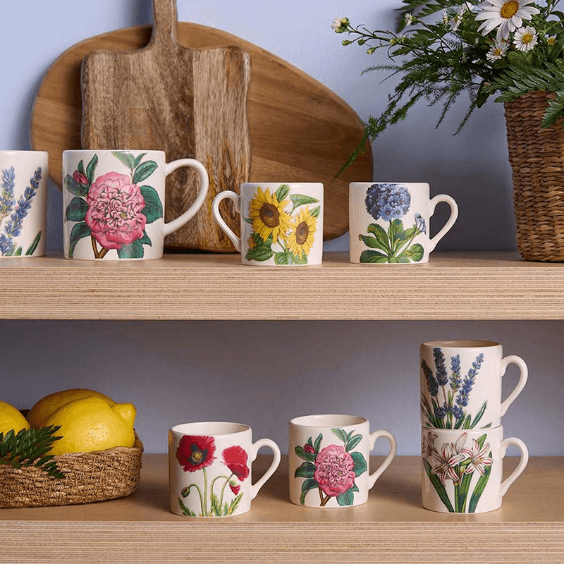 Botanic Garden Bloom Set of 6 Coffee Mugs, Multi