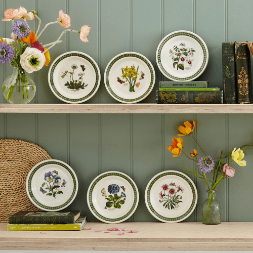 Image showing the Botanic Garden Etchings Set of 6 Side Plates product.
