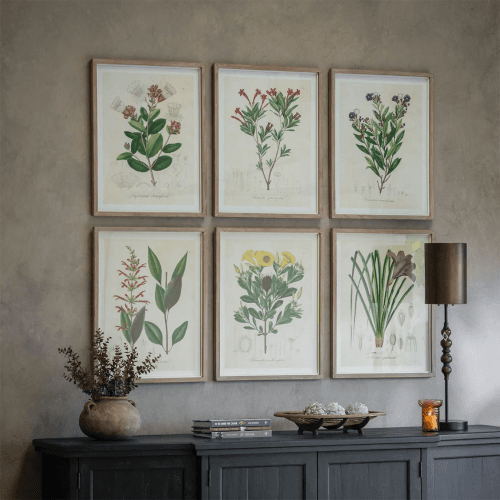 Image showing the Ormington Set of 6 Wildflower Framed Prints, Natural product.