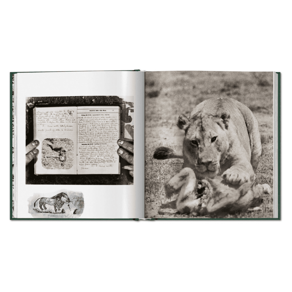Peter Beard: The End of the Game