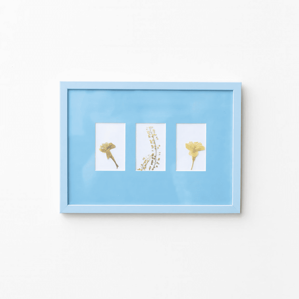 Marco A4 Frame and Instax Mini x 3 Picture Frame Mount
