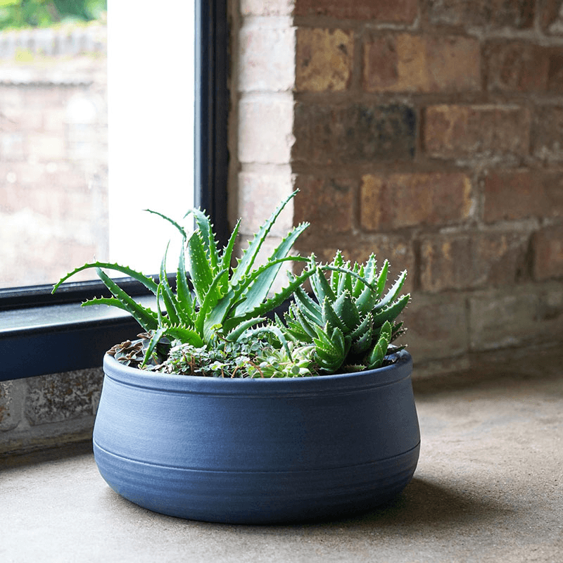 Kew Temperate House Handthrown Statement Bowl