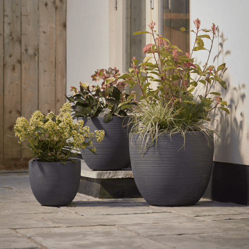 Image showing the Celano Set of 3 Planters, Black product.