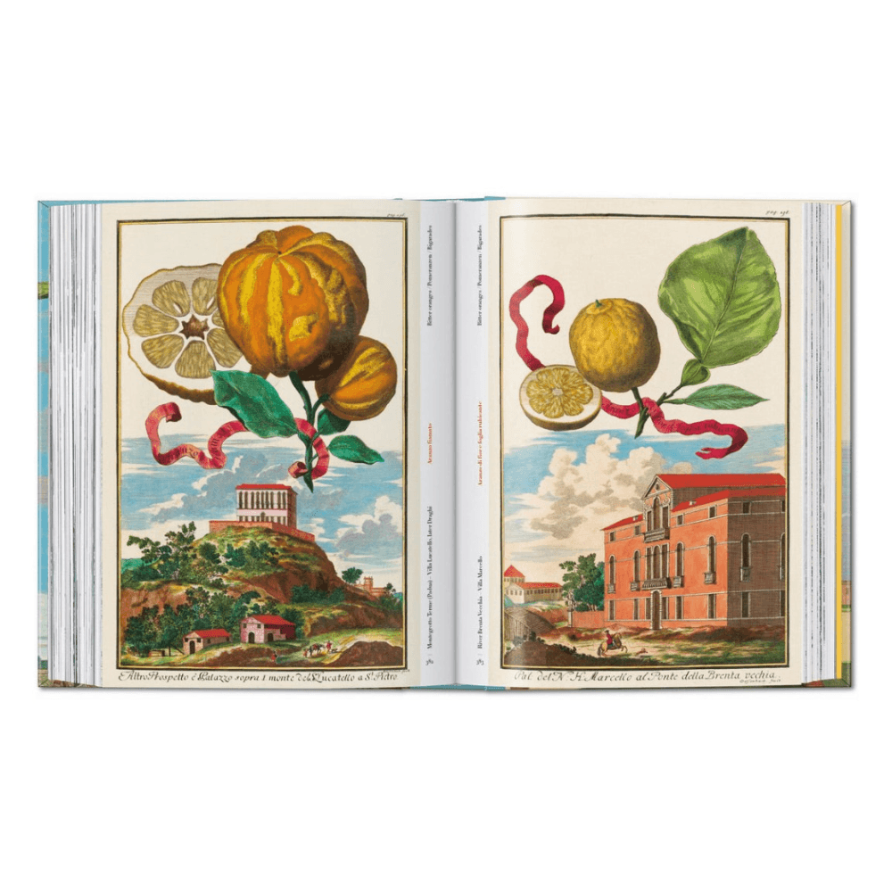 Volkamer: The Book of Citrus Fruits, 45th Ed