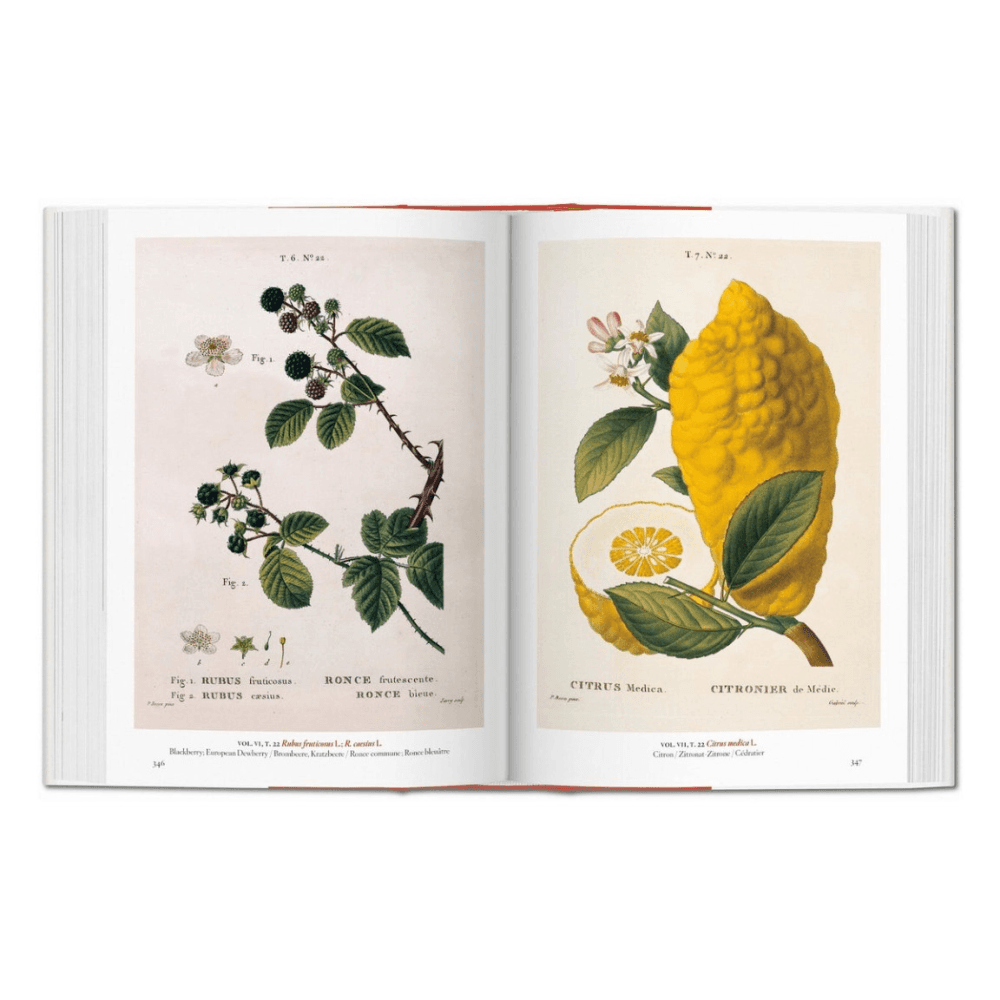 A Garden Eden: Masterpieces of Botanical Illustration, 45th Ed