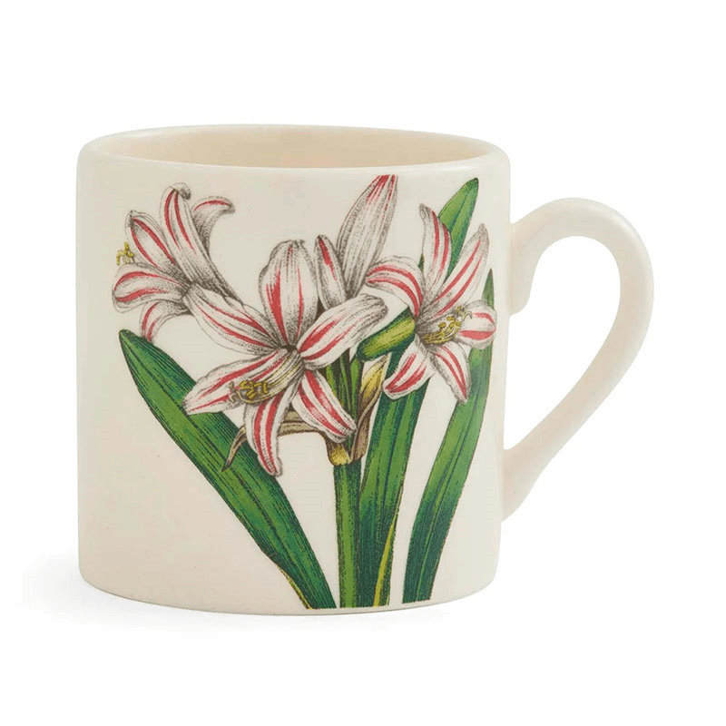 Botanic Garden Bloom Set of 6 Coffee Mugs, Multi