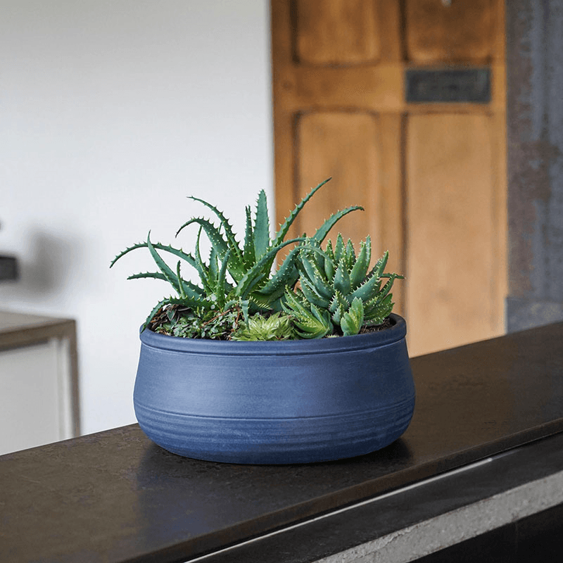 Kew Temperate House Handthrown Statement Bowl