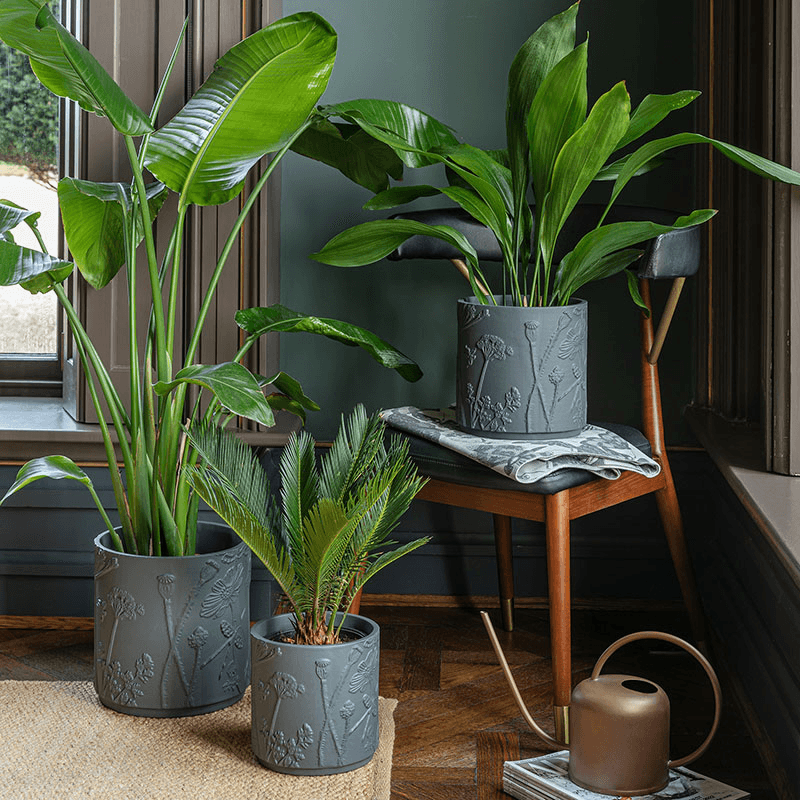 Kew Eclectic Orangery Stoneware Meadow Planter