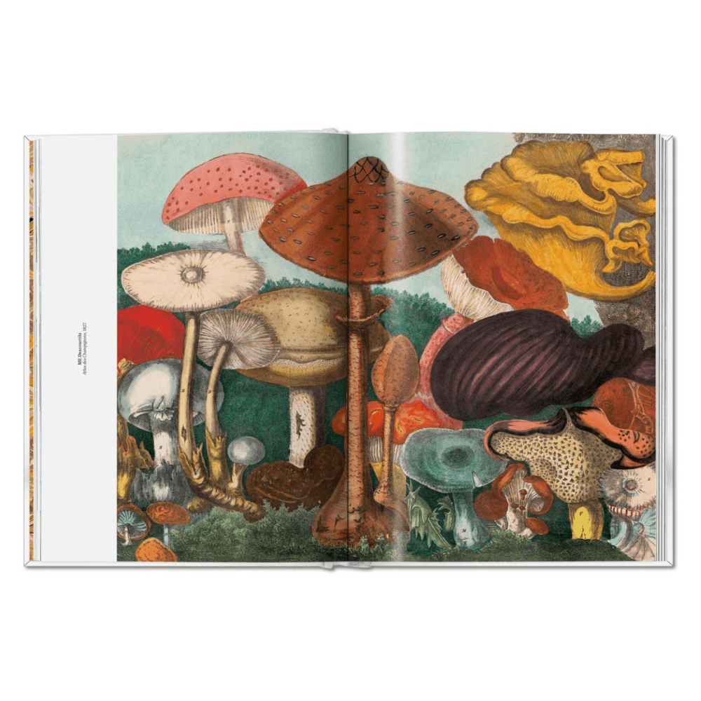 The Gourmand's Mushroom: A Collection of Stories & Recipes