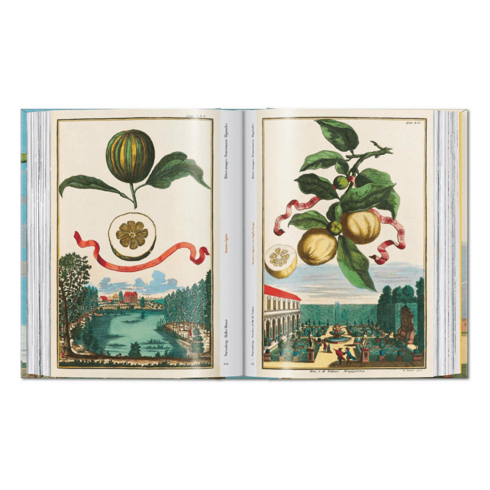 Volkamer: The Book of Citrus Fruits, 45th Ed