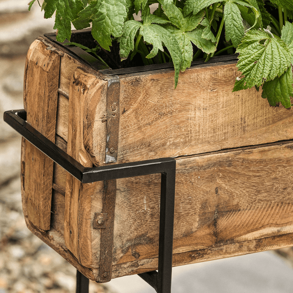 Amazzi Indoor Planter Stand