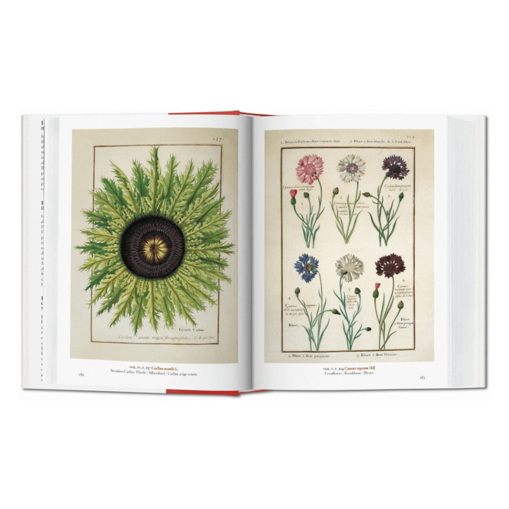 A Garden Eden: Masterpieces of Botanical Illustration, 45th Ed