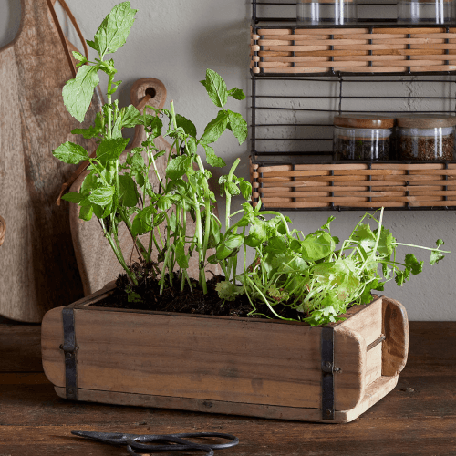 Image showing the Dudha Reclaimed Brick Box, Natural product.