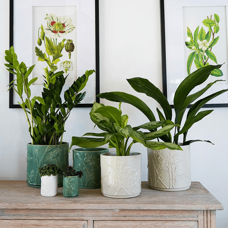 Kew Botanical Retreat Stoneware Meadow Planter