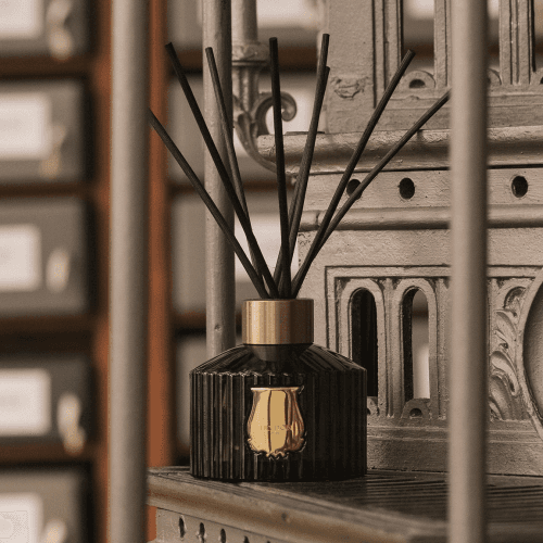 Image showing the Cyrnos Diffuser Kit product.