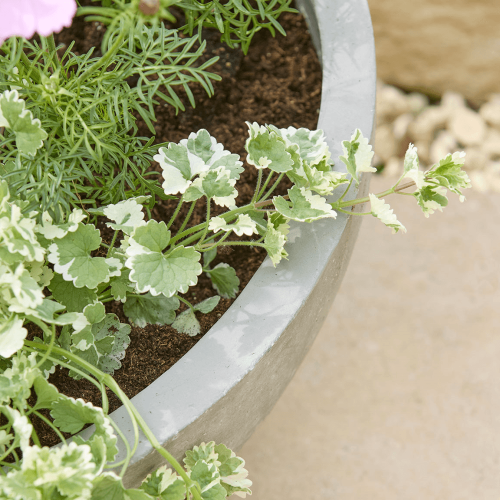 Alder Planter, Grey
