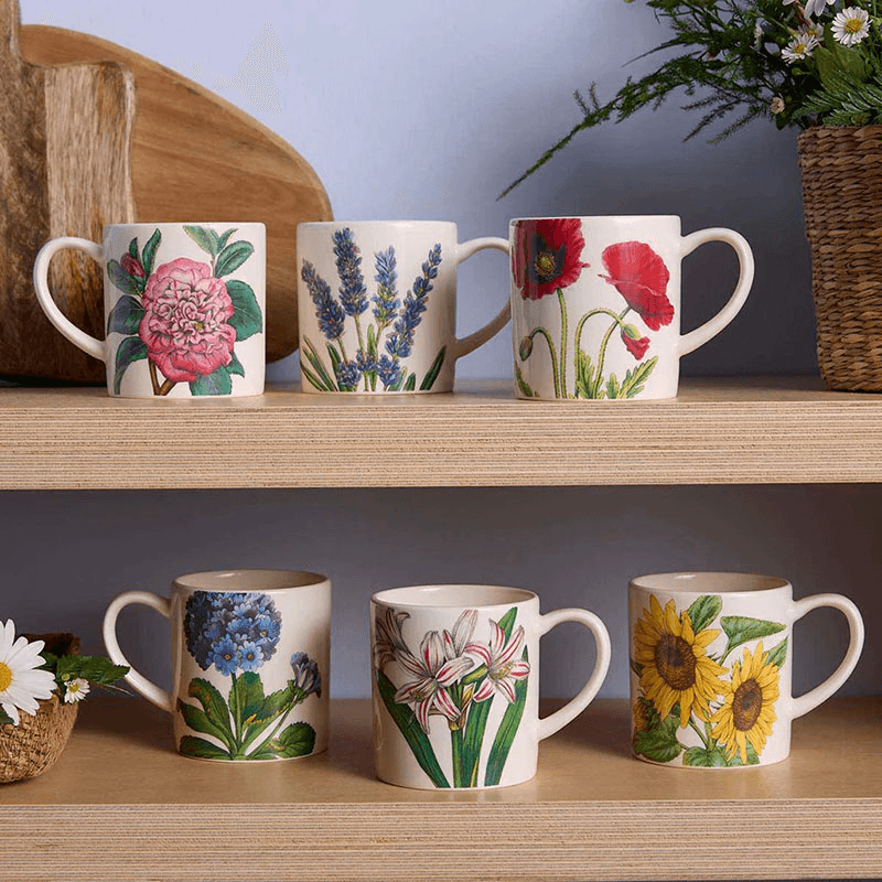 Botanic Garden Bloom Set of 6 Espresso Mugs, Multi