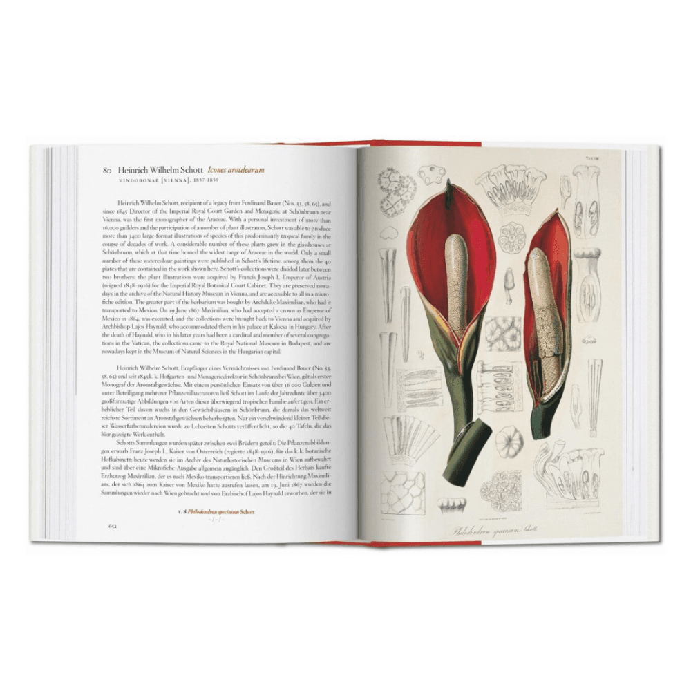 A Garden Eden: Masterpieces of Botanical Illustration, 45th Ed