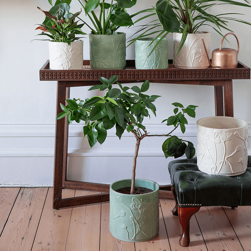 Kew Botanical Retreat Stoneware Meadow Planter