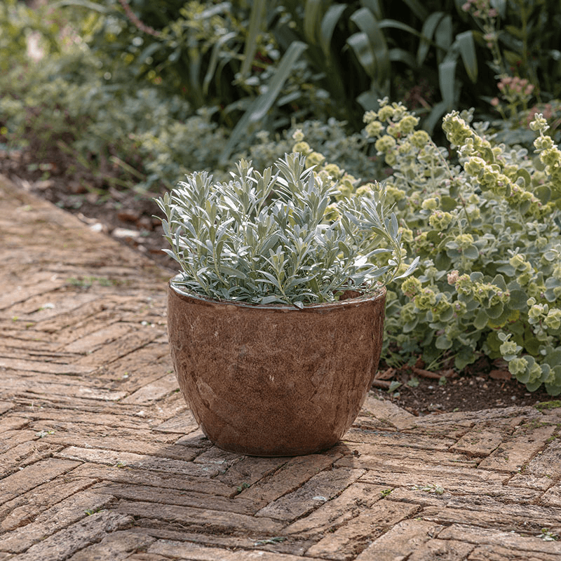 Dunai Planter