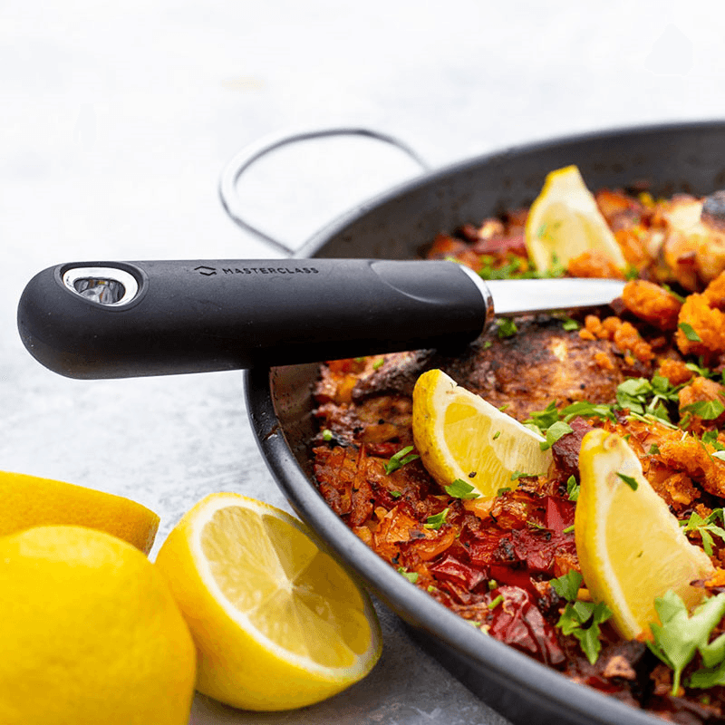 Mediterranean Paella pan