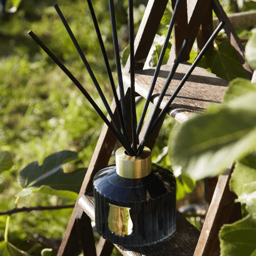 Image showing the Figuerie Diffuser product.