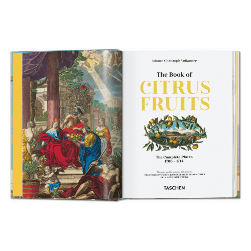 Image showing the Volkamer: The Book of Citrus Fruits, 45th Ed product.